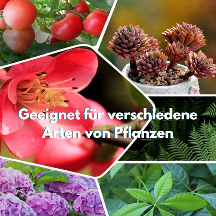 1+1 FREE | GrowBoost - Bring plants back to life in an environmentally friendly way! - Image 4