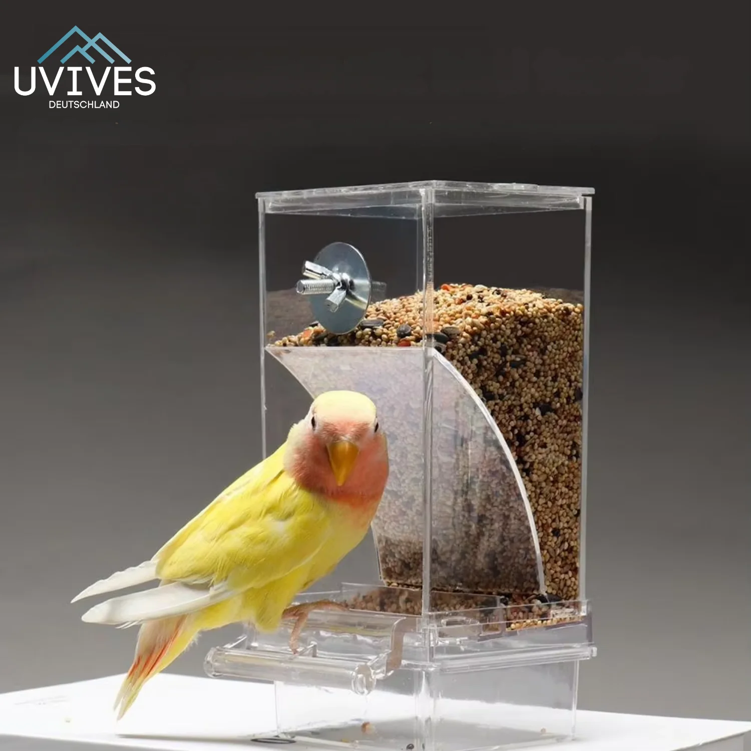 BirdFeed - Clean feeding, happy birds, less effort - Image 7