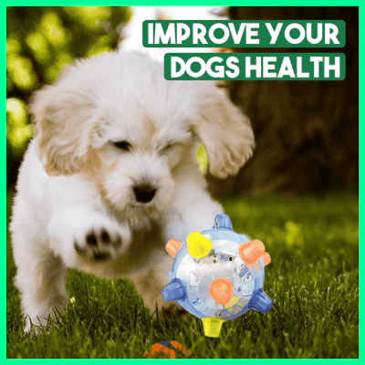 BounceBark - The ball that banishes boredom - Image 5