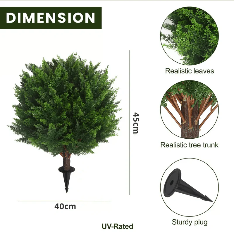 1+1 FREE | EverGreen – Evergreen Elegance without Maintenance Effort! - Image 23