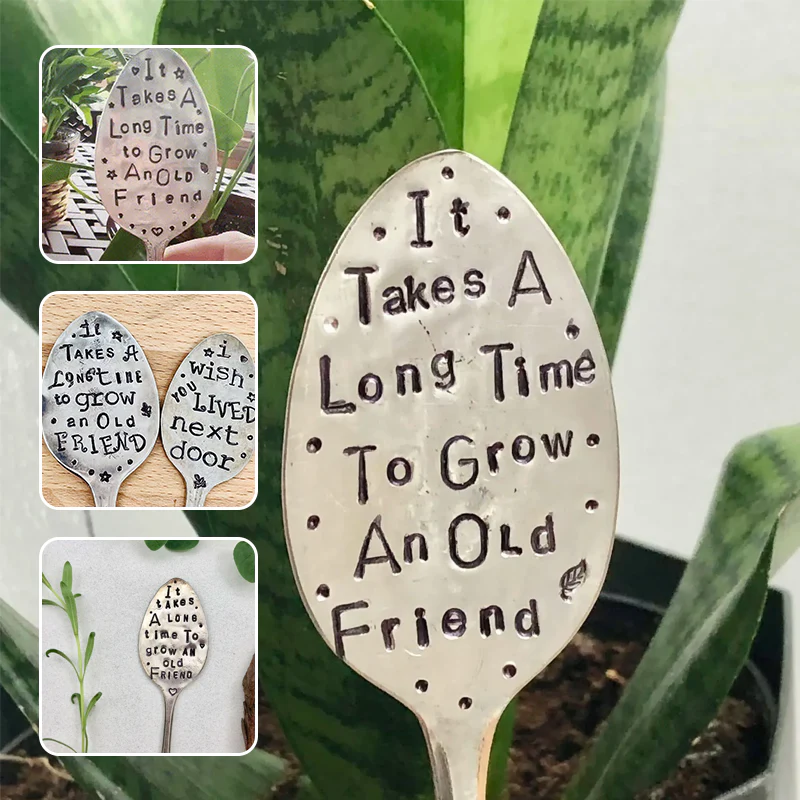 1+1 FREE | GardenHeart – Connect with every plant you grow - Image 8