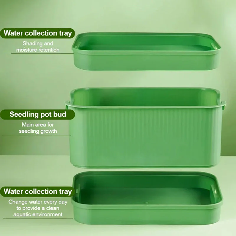 1+1 FREE | GreenBox – Fresh sprouts grown by yourself every day - Image 6