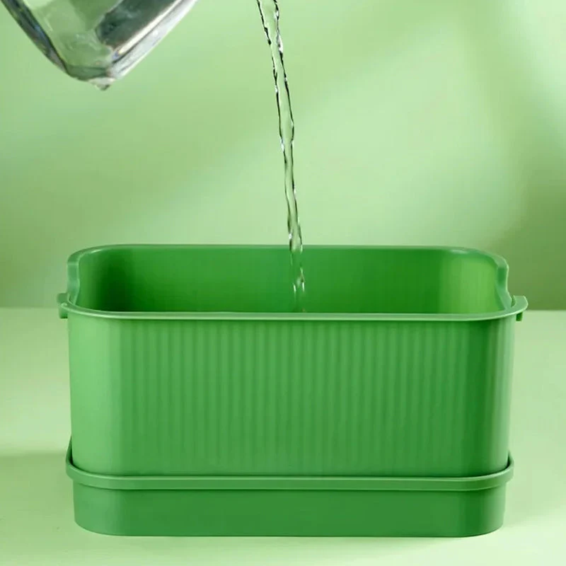 1+1 FREE | GreenBox – Fresh sprouts grown by yourself every day - Image 7