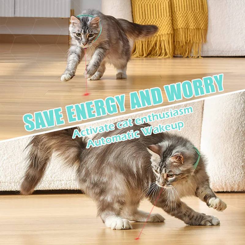 PurrActive – Keep Your Cat Healthy, Happy, and Energetic Every Day - Image 3