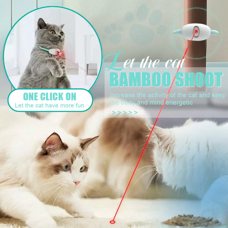 PurrActive – Keep Your Cat Healthy, Happy, and Energetic Every Day - Image 4