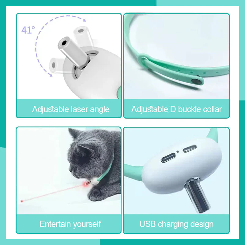 PurrActive – Keep Your Cat Healthy, Happy, and Energetic Every Day - Image 5