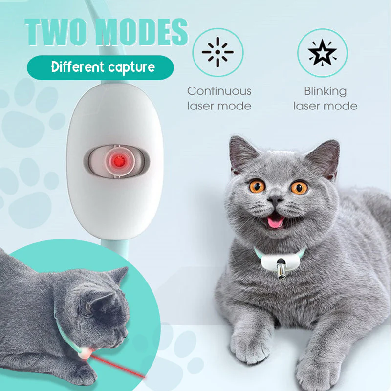 PurrActive – Keep Your Cat Healthy, Happy, and Energetic Every Day - Image 6