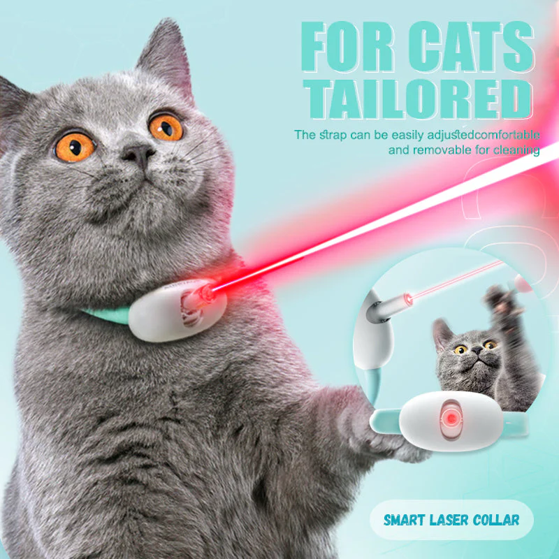PurrActive – Keep Your Cat Healthy, Happy, and Energetic Every Day - Image 8
